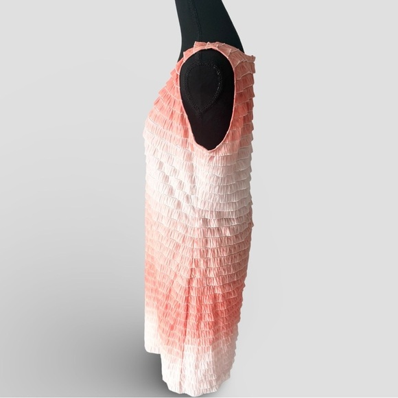 Bianca Nygard Sleeveless Ombre Tiered Ruffled Tunic Mini Dress - Picture 2 of 13